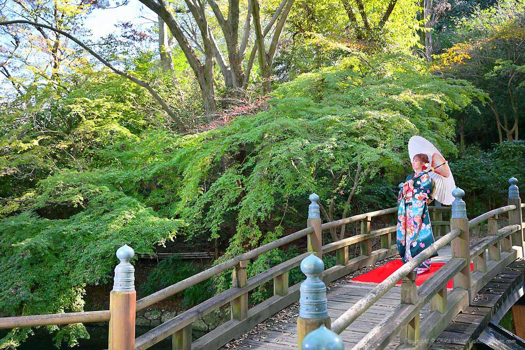 浜松城公園の日本庭園の太鼓橋にて､成人式前撮り