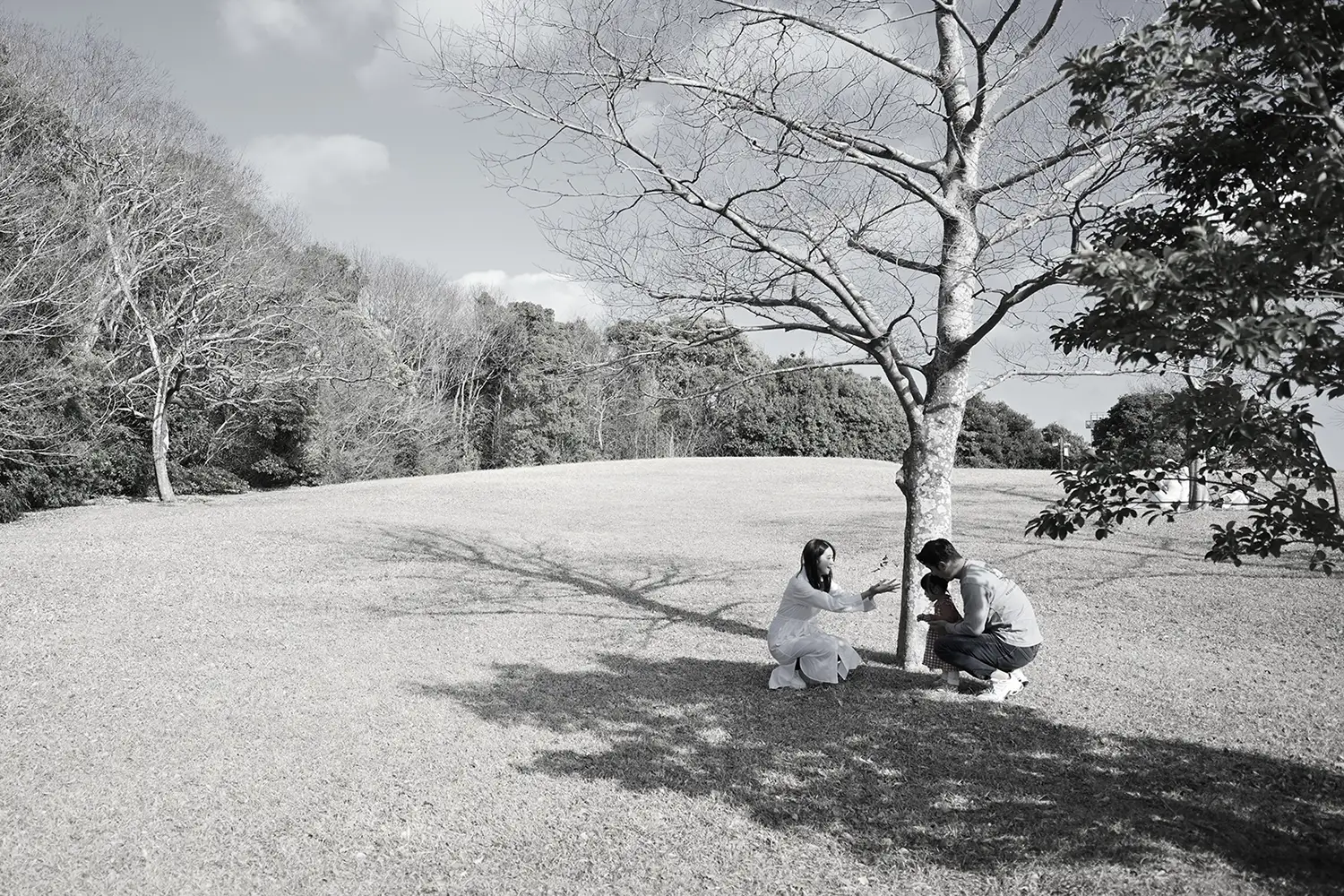 浜名湖ガーデンパーク、小さな芝生の丘の上で遊ぶ親子の家族写真
