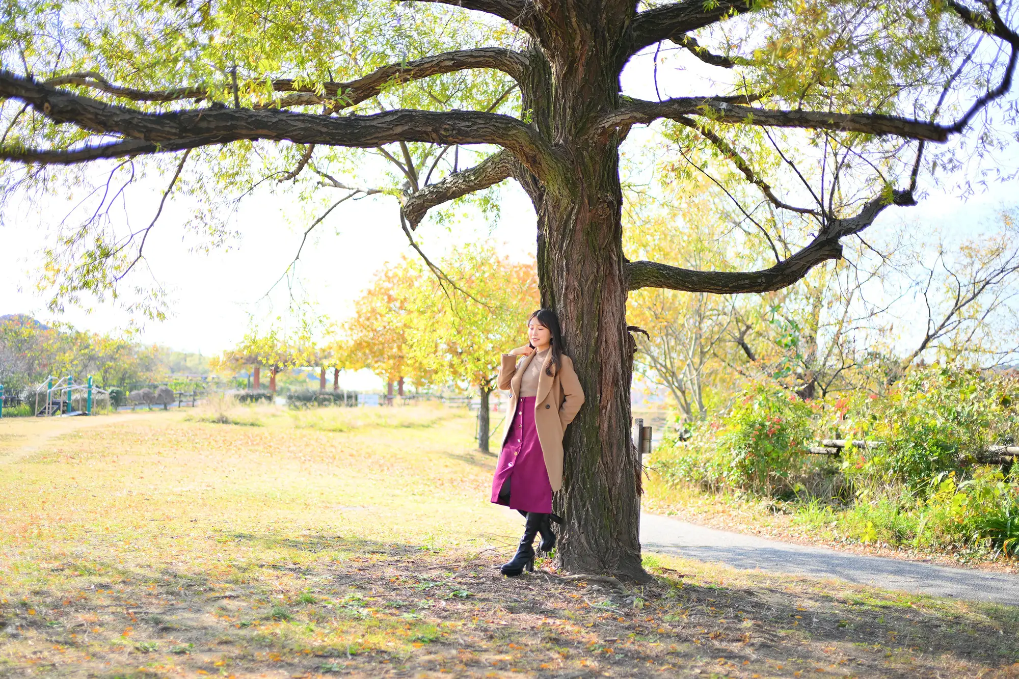 浜松市の佐鳴湖公園で、大きな木にもたれて佇む女性のポートレート写真、秋の紅葉