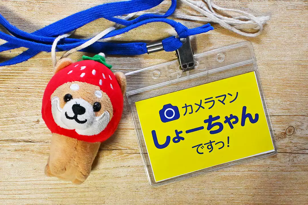 カメラマンないとうのネームプレート